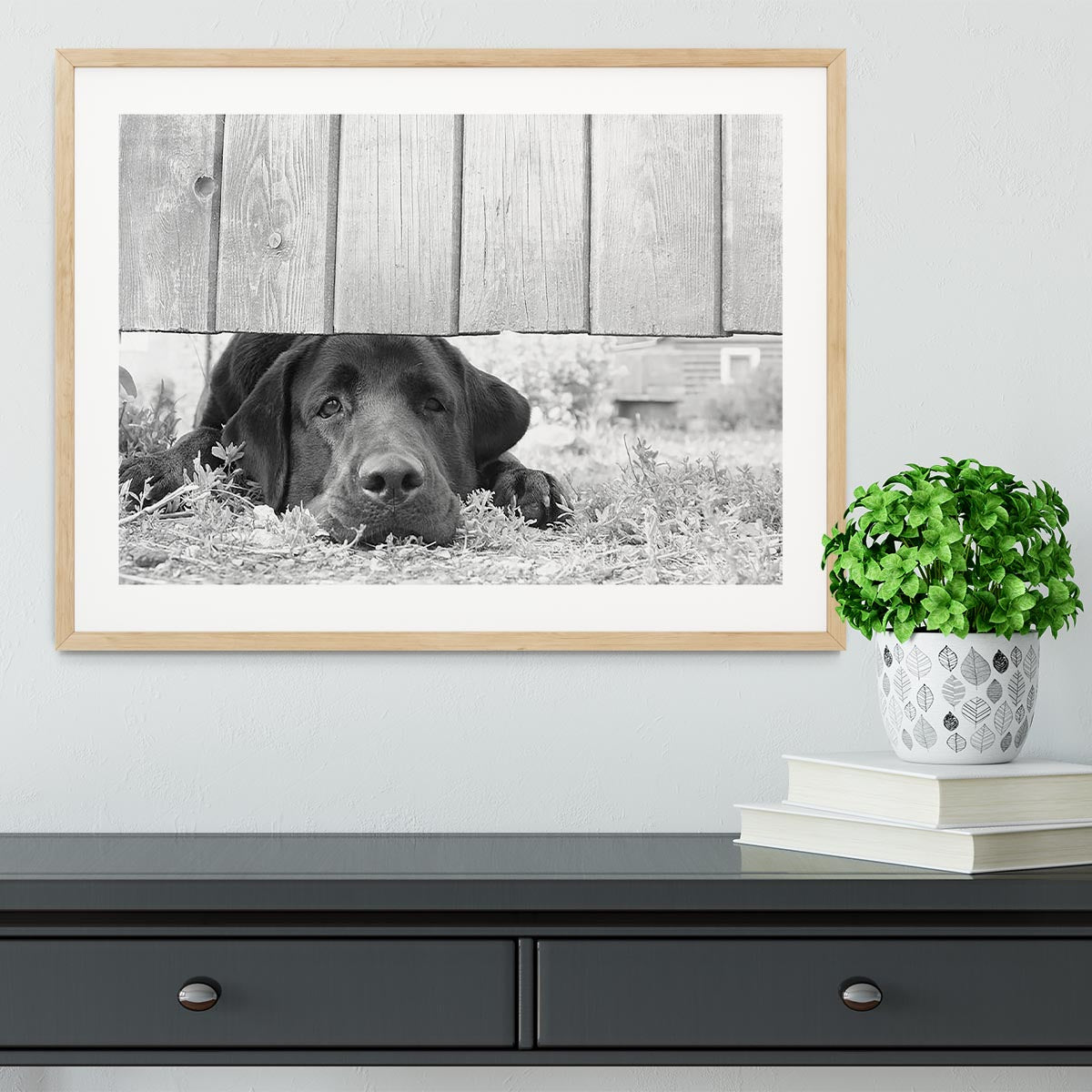 Cute sad dog waiting under the wooden fence Framed Print - Canvas Art Rocks - 3