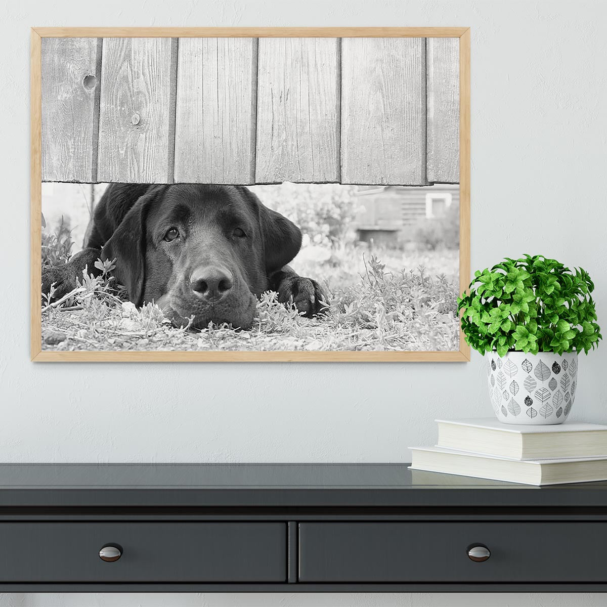 Cute sad dog waiting under the wooden fence Framed Print - Canvas Art Rocks - 4