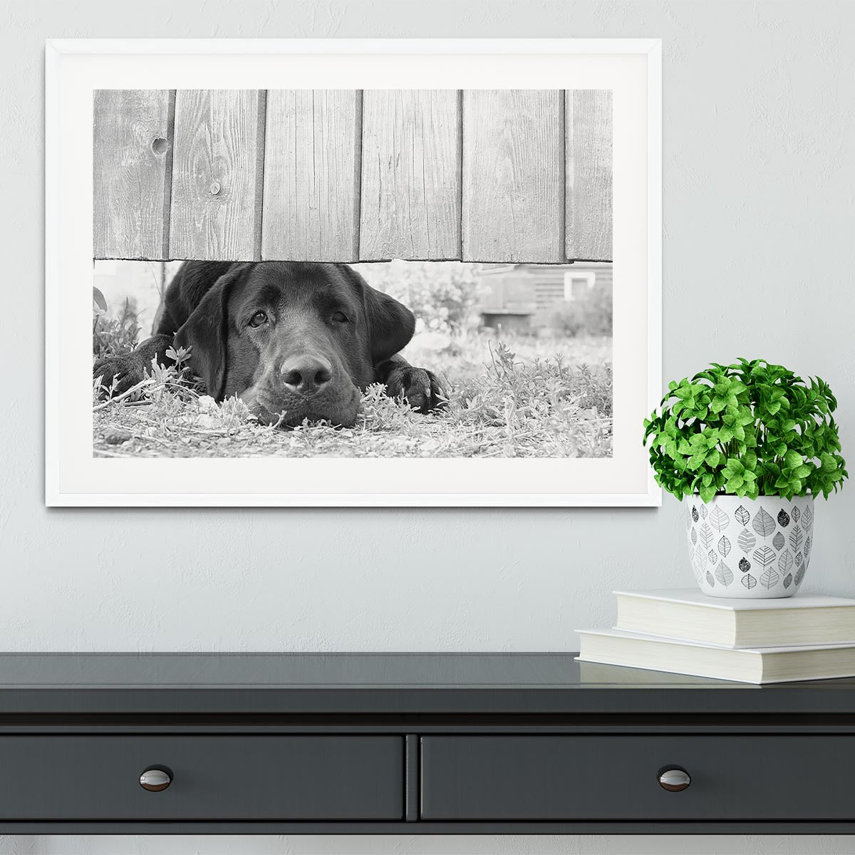 Cute sad dog waiting under the wooden fence Framed Print - Canvas Art Rocks - 5