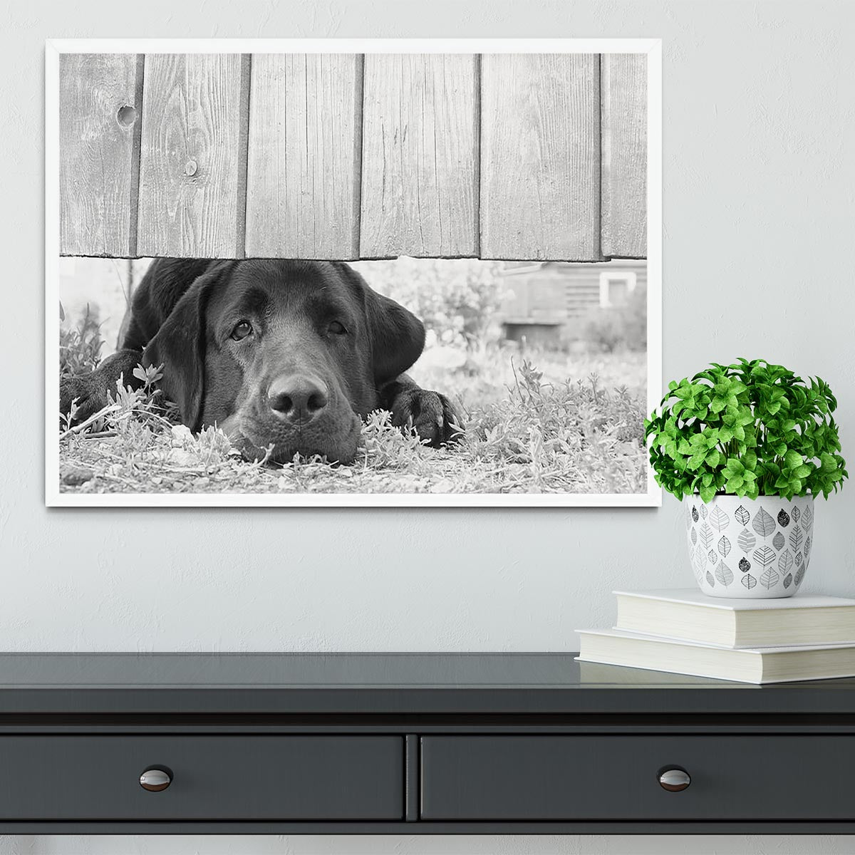 Cute sad dog waiting under the wooden fence Framed Print - Canvas Art Rocks -6