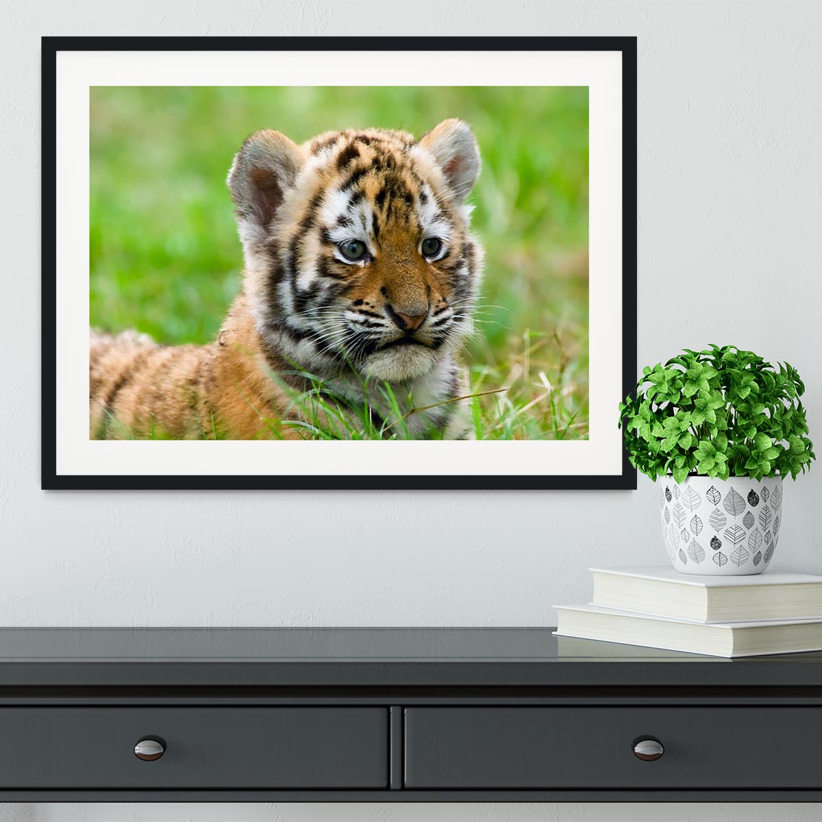 Cute siberian tiger cub Framed Print - Canvas Art Rocks - 1