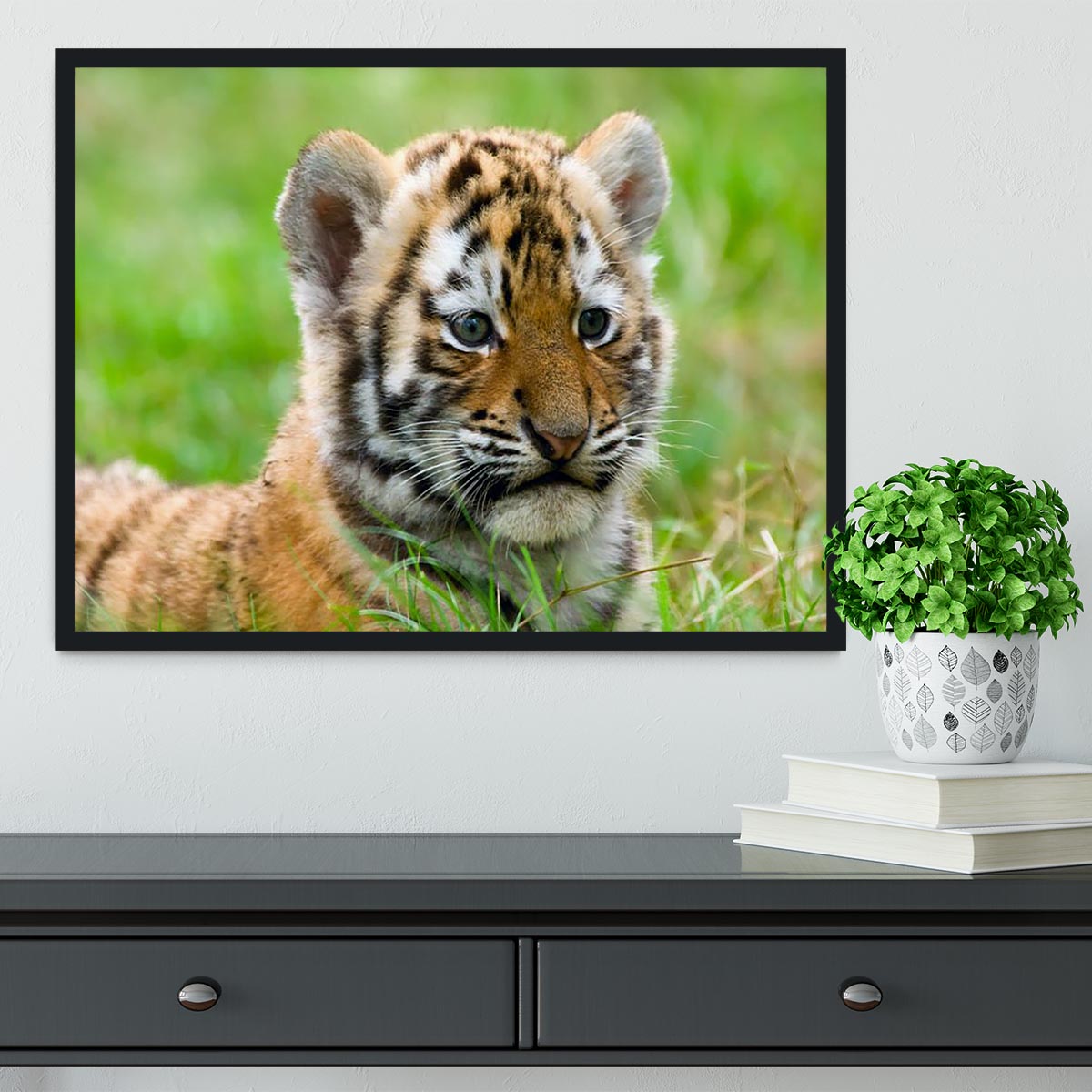 Cute siberian tiger cub Framed Print - Canvas Art Rocks - 2