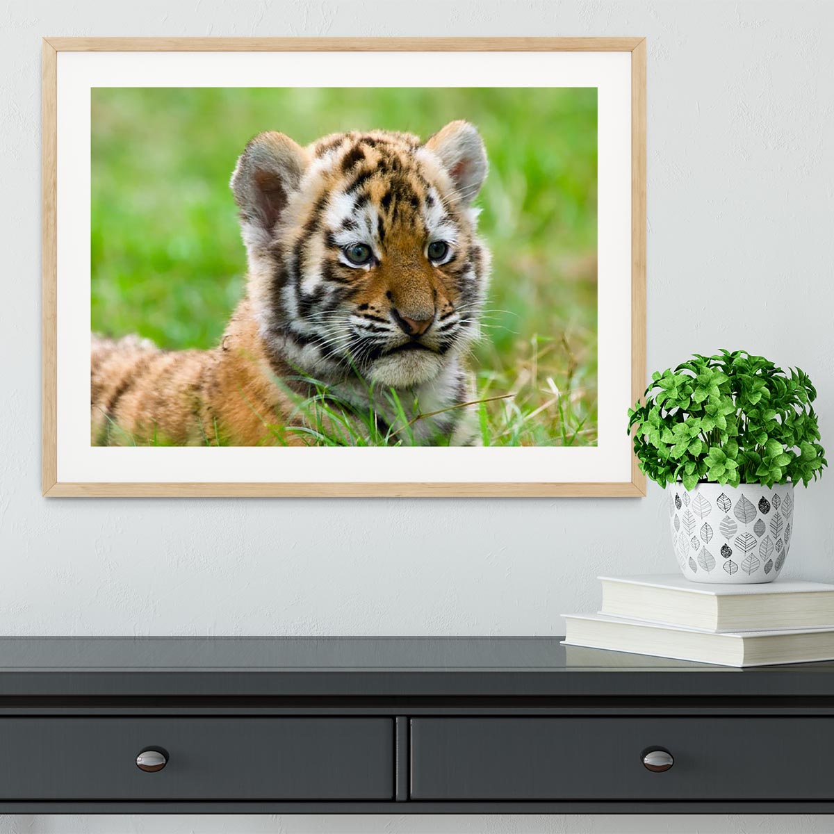 Cute siberian tiger cub Framed Print - Canvas Art Rocks - 3