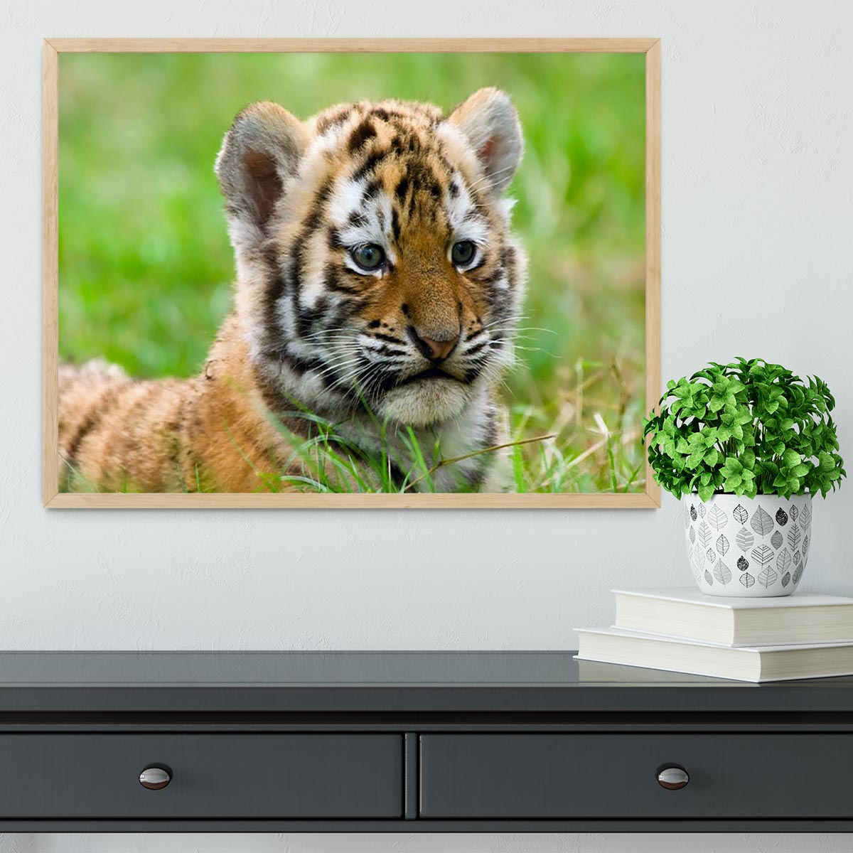 Cute siberian tiger cub Framed Print - Canvas Art Rocks - 4
