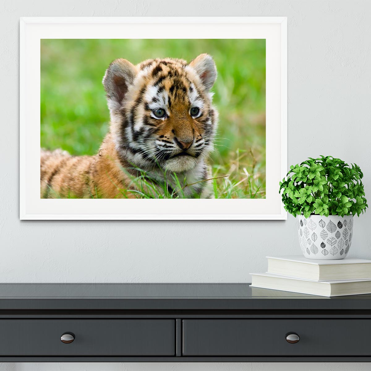 Cute siberian tiger cub Framed Print - Canvas Art Rocks - 5