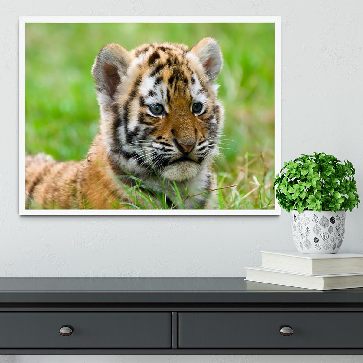 Cute siberian tiger cub Framed Print - Canvas Art Rocks -6