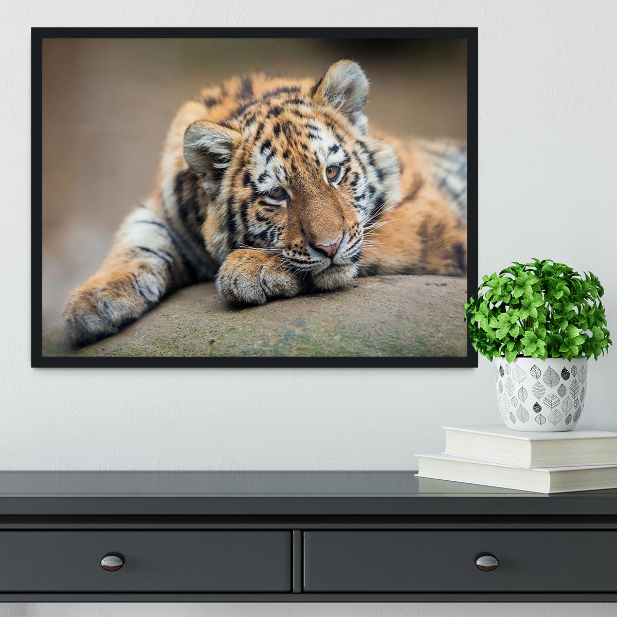 Cute tiger cub resting lazily Framed Print - Canvas Art Rocks - 2