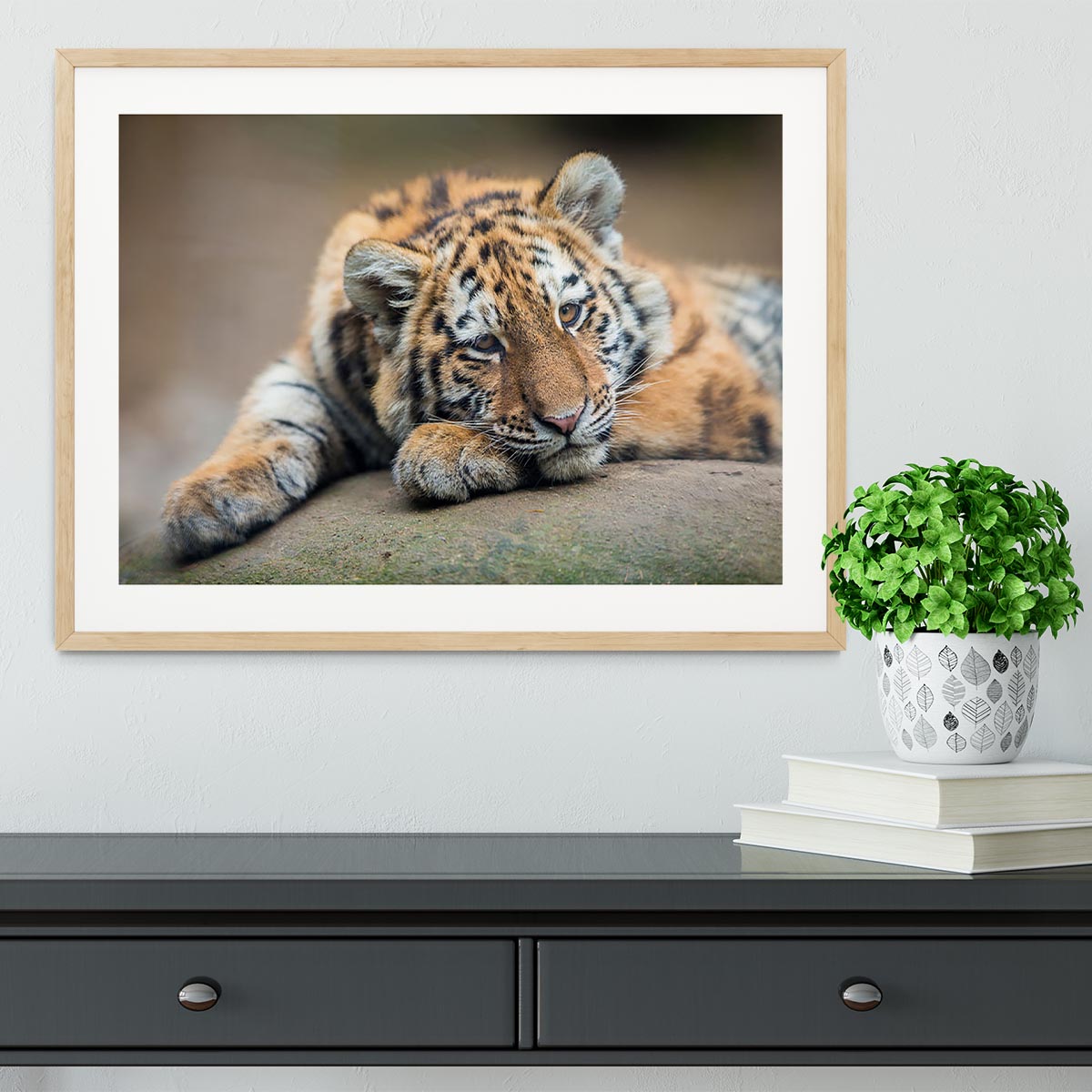 Cute tiger cub resting lazily Framed Print - Canvas Art Rocks - 3