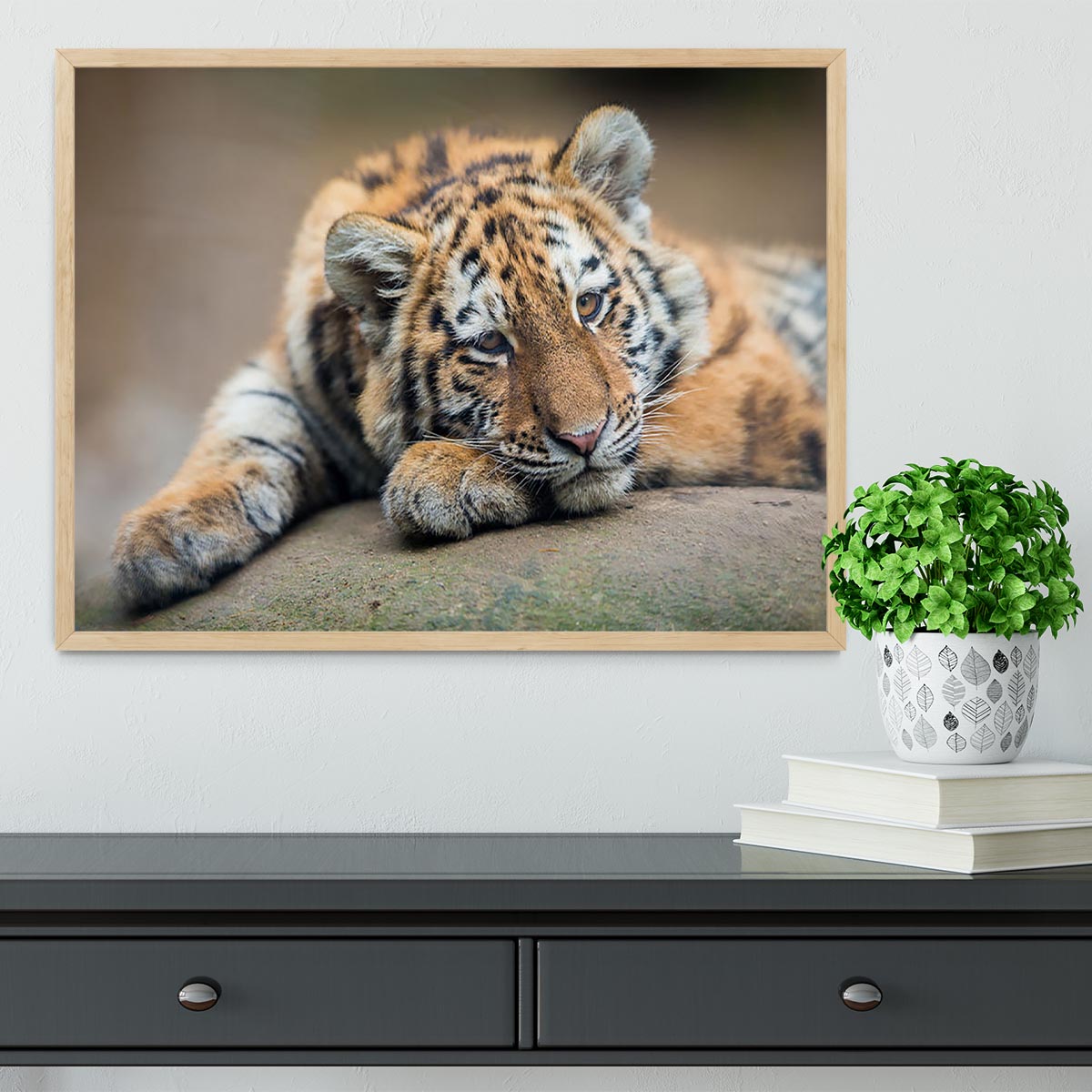 Cute tiger cub resting lazily Framed Print - Canvas Art Rocks - 4