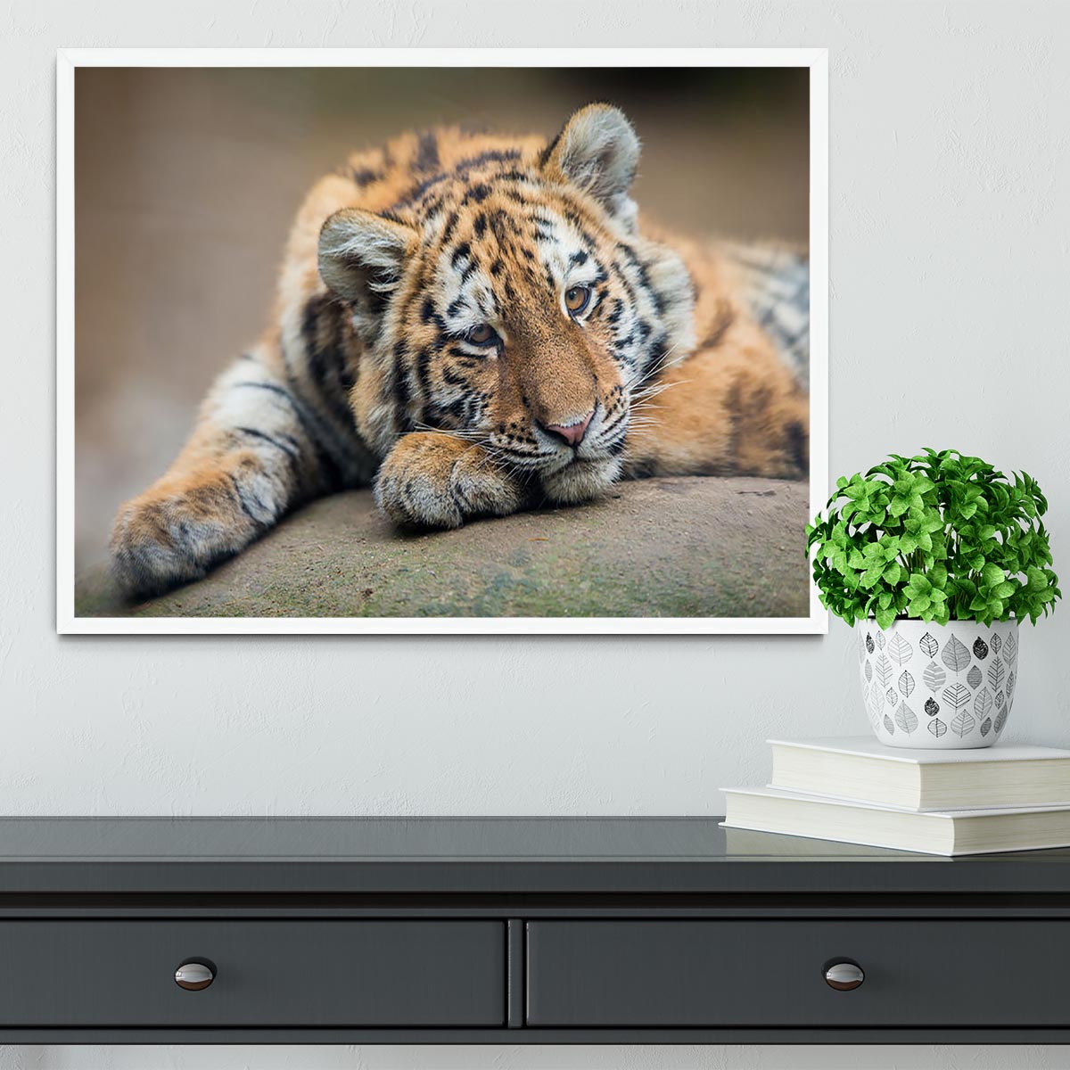 Cute tiger cub resting lazily Framed Print - Canvas Art Rocks -6