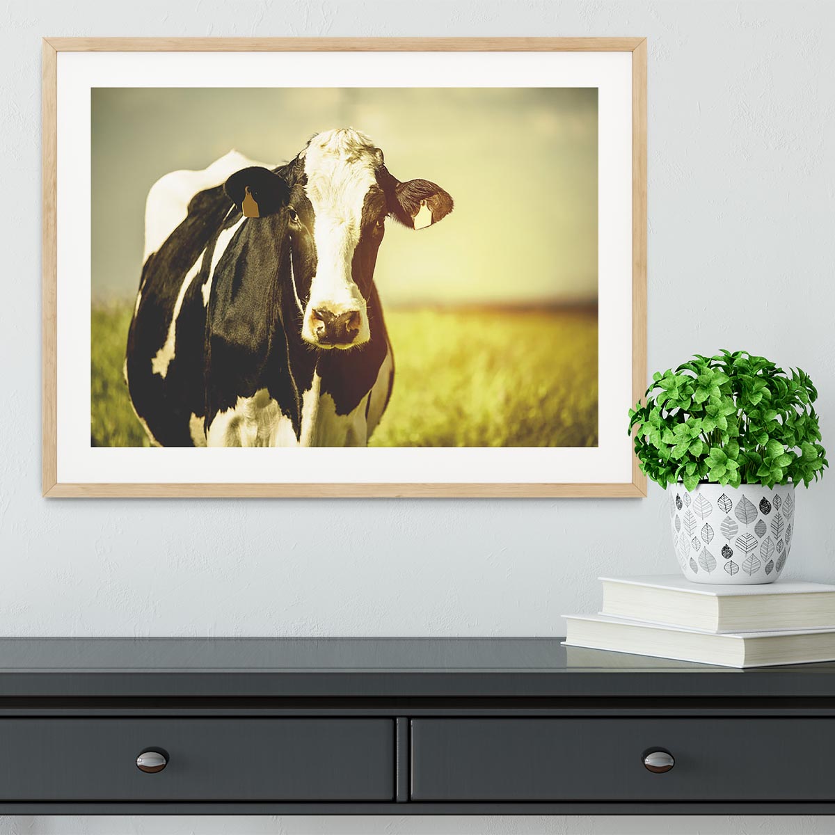 Dairy cow on the countryside Framed Print - Canvas Art Rocks - 3