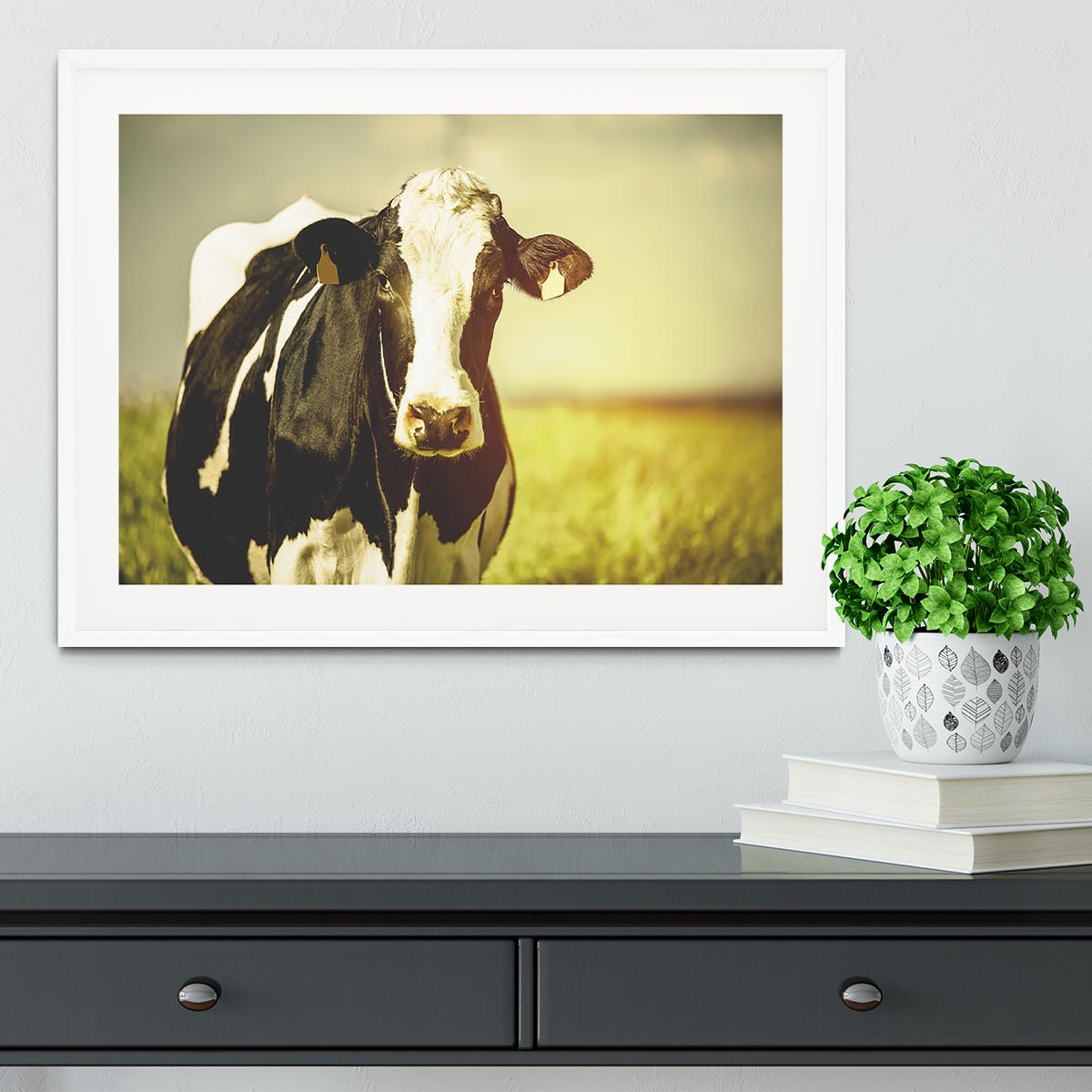 Dairy cow on the countryside Framed Print - Canvas Art Rocks - 5