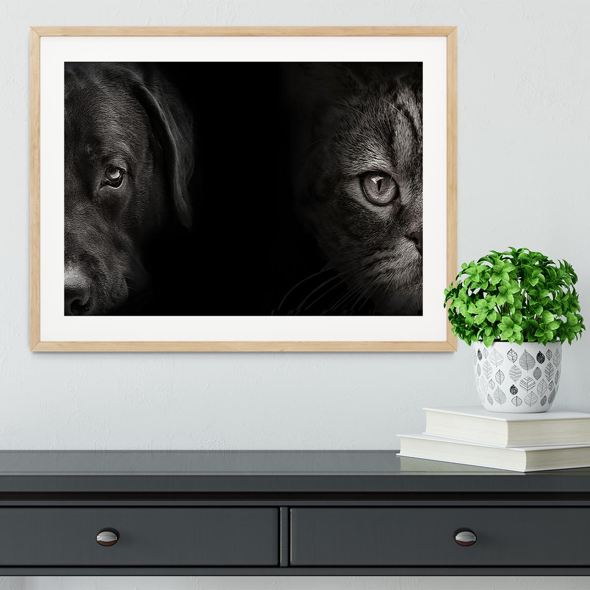 Dark muzzle labrador dog and cat Framed Print - Canvas Art Rocks - 3