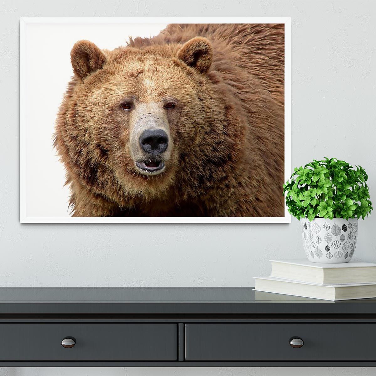 Detailed close-up portrait of a magnificent grizzly brown bear Framed Print - Canvas Art Rocks -6