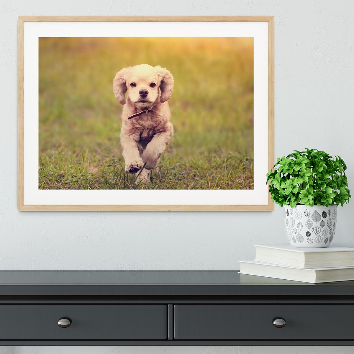 Dog is running at sunset Framed Print - Canvas Art Rocks - 3
