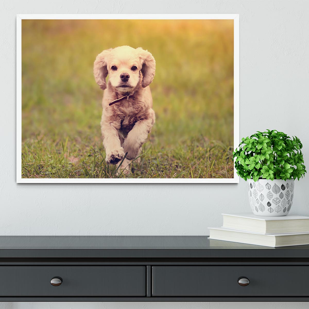 Dog is running at sunset Framed Print - Canvas Art Rocks -6