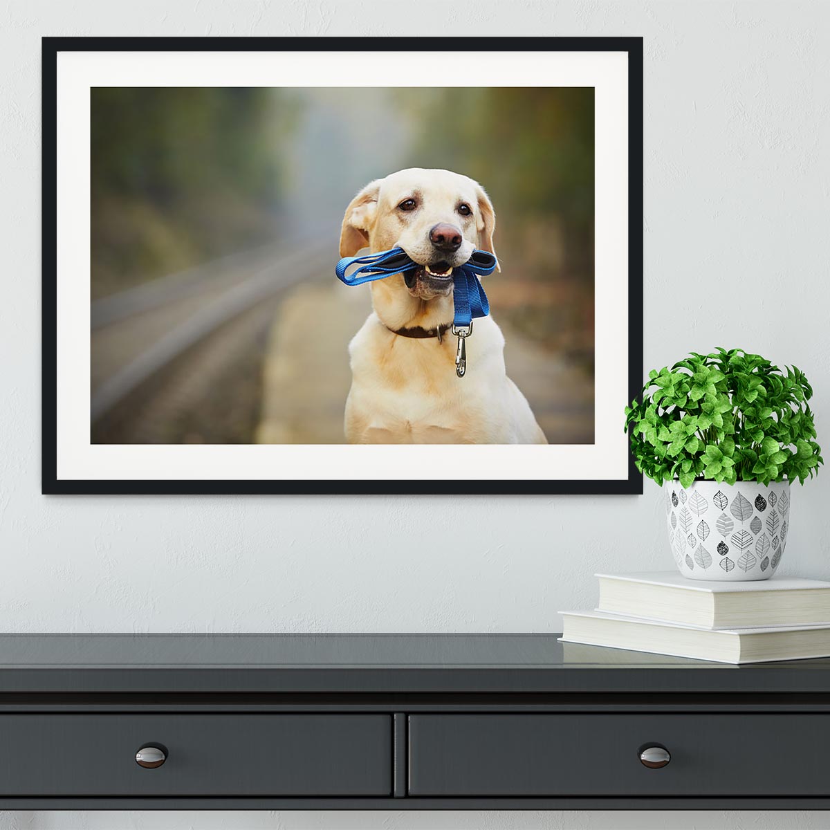 Dog is waiting for the owner on the railway platform Framed Print - Canvas Art Rocks - 1