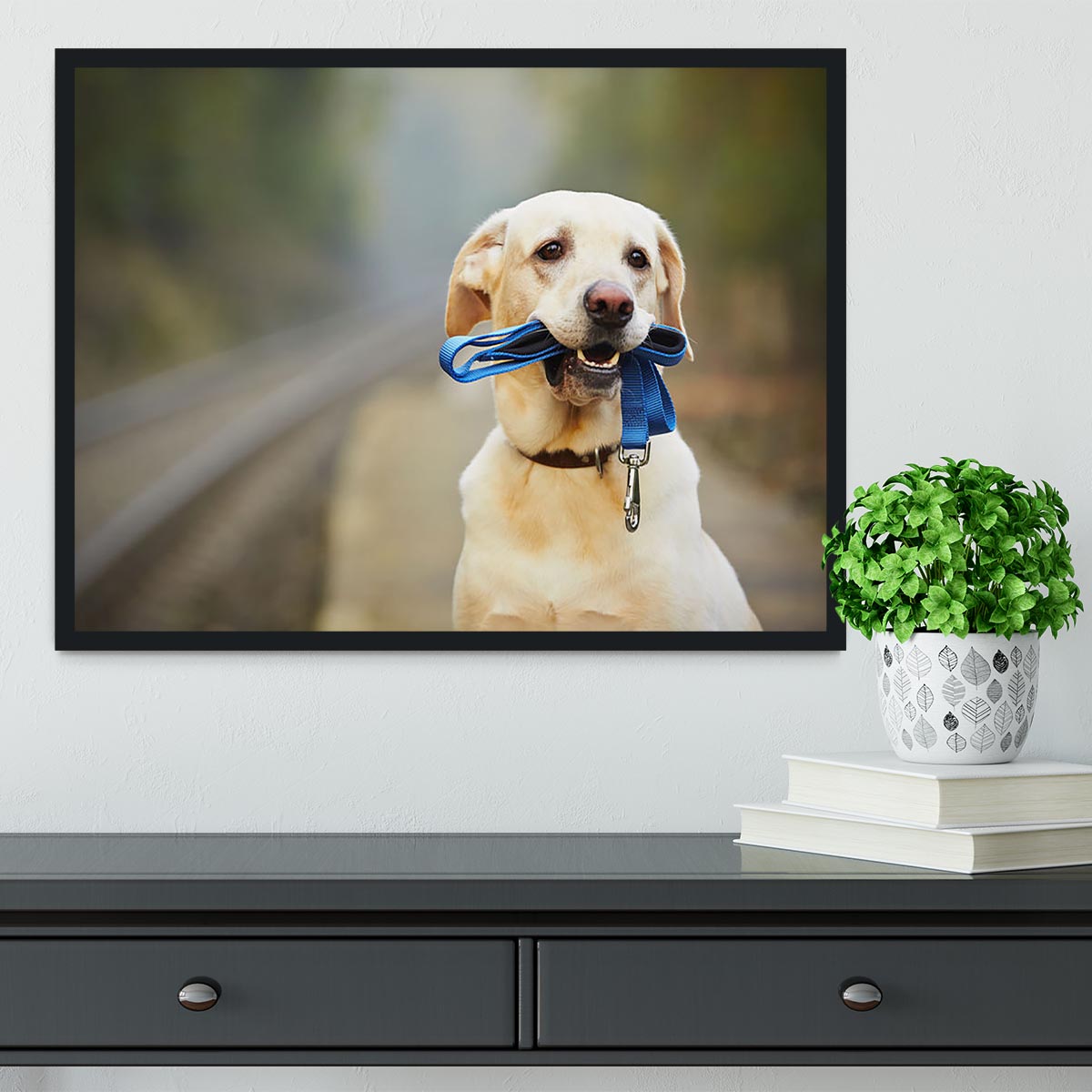 Dog is waiting for the owner on the railway platform Framed Print - Canvas Art Rocks - 2