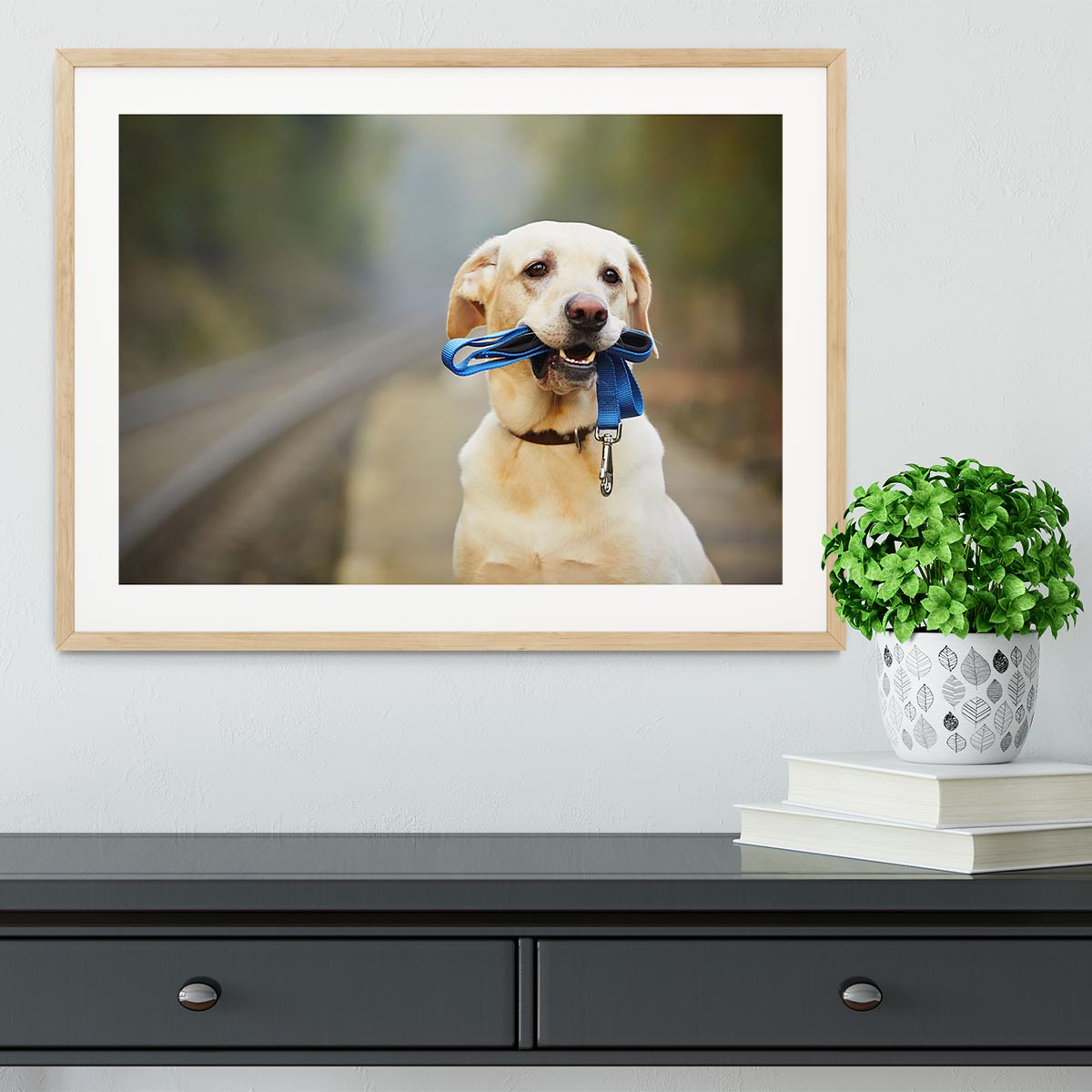 Dog is waiting for the owner on the railway platform Framed Print - Canvas Art Rocks - 3