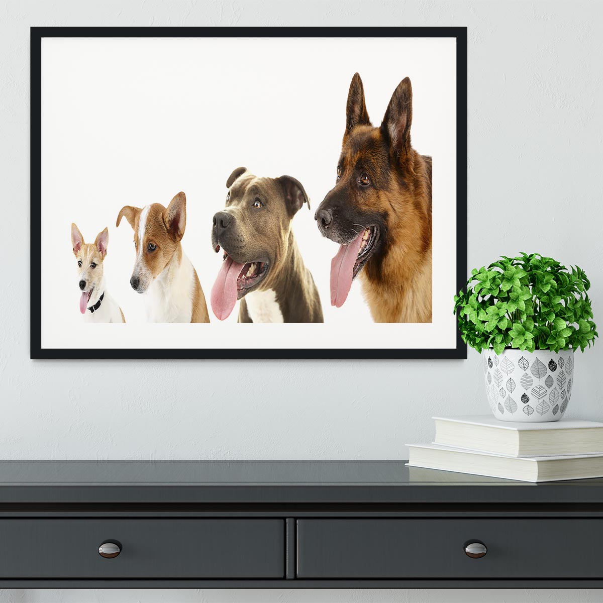 Dogs in row isolated on white Framed Print - Canvas Art Rocks - 1