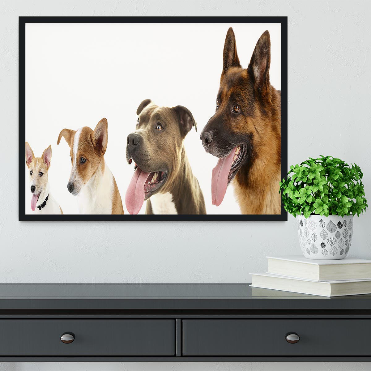 Dogs in row isolated on white Framed Print - Canvas Art Rocks - 2