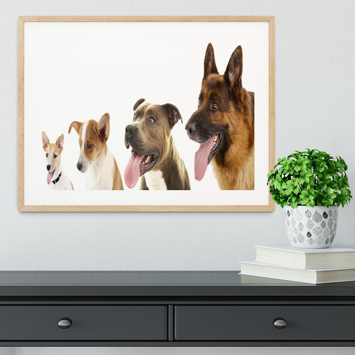 Dogs in row isolated on white Framed Print - Canvas Art Rocks - 3