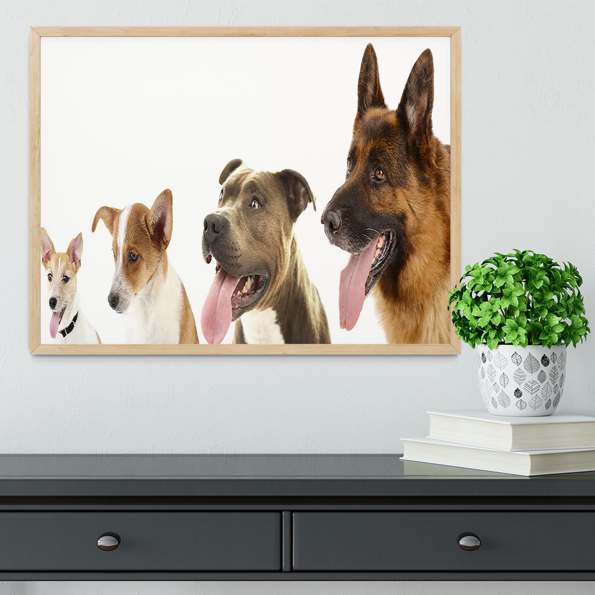 Dogs in row isolated on white Framed Print - Canvas Art Rocks - 4