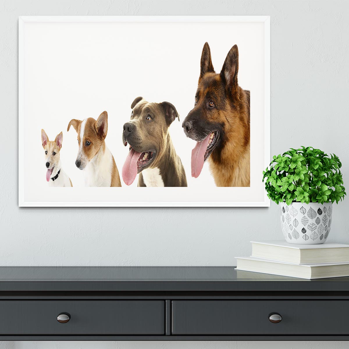 Dogs in row isolated on white Framed Print - Canvas Art Rocks - 5