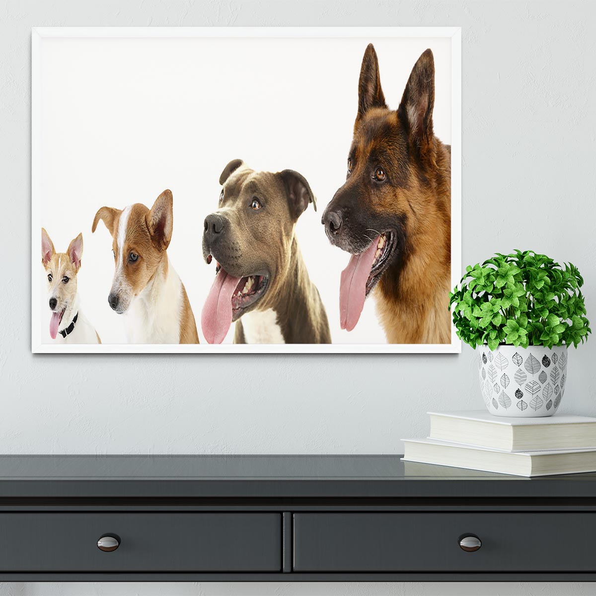 Dogs in row isolated on white Framed Print - Canvas Art Rocks -6