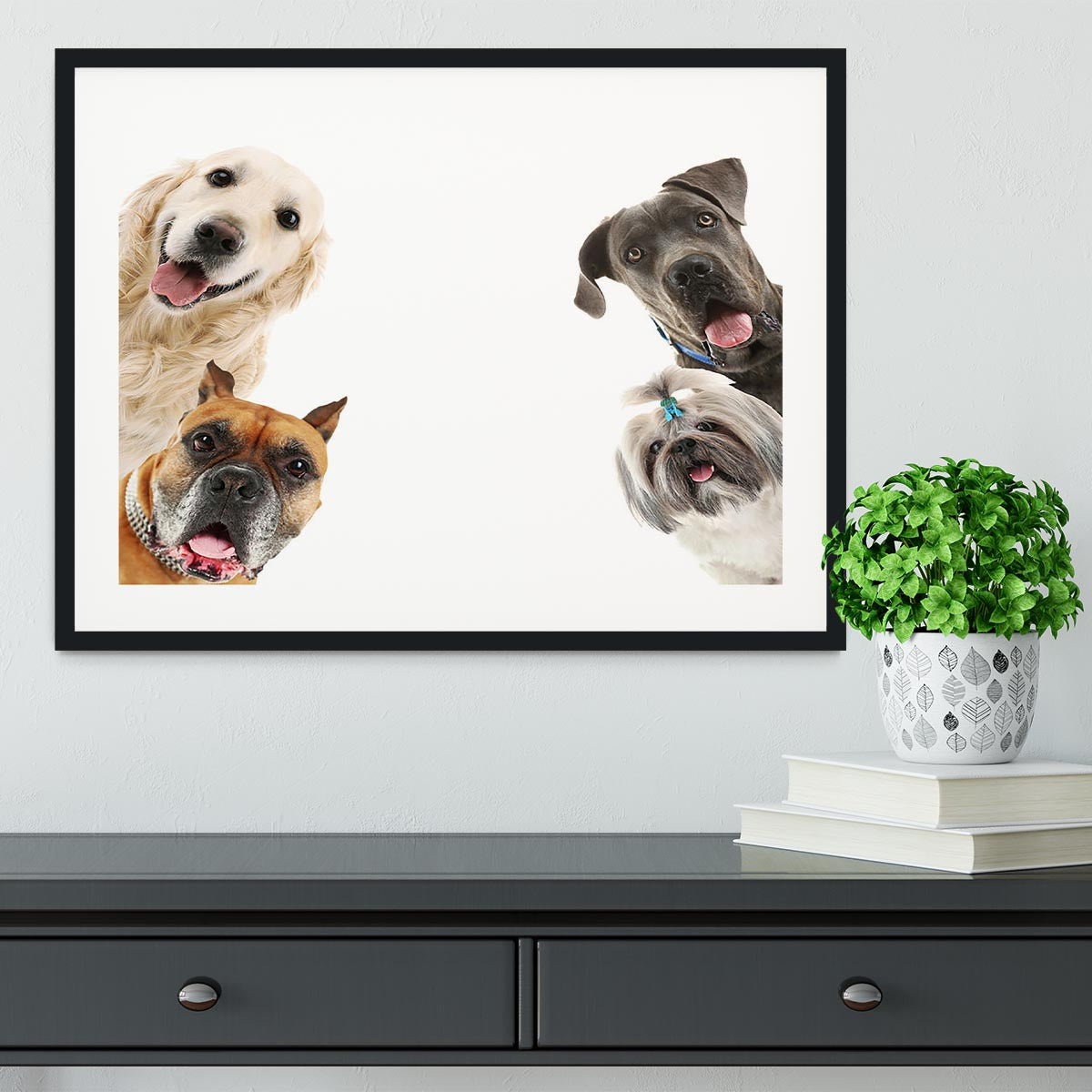 Dogs isolated on white Framed Print - Canvas Art Rocks - 1