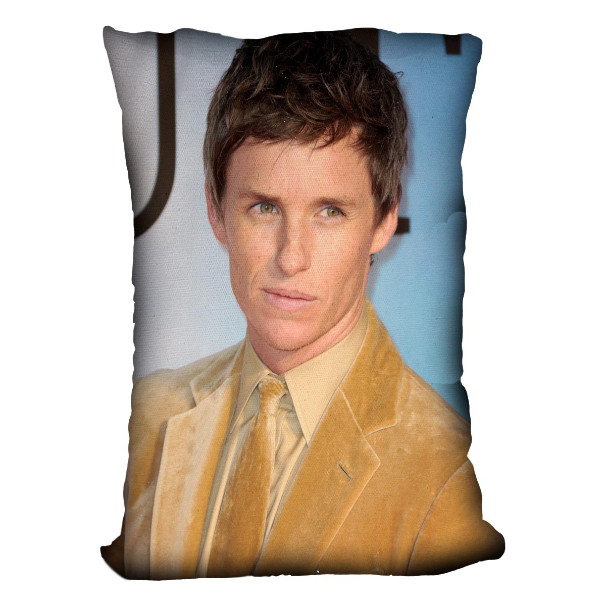 Eddie Redmayne Cushion - Canvas Art Rocks - 4