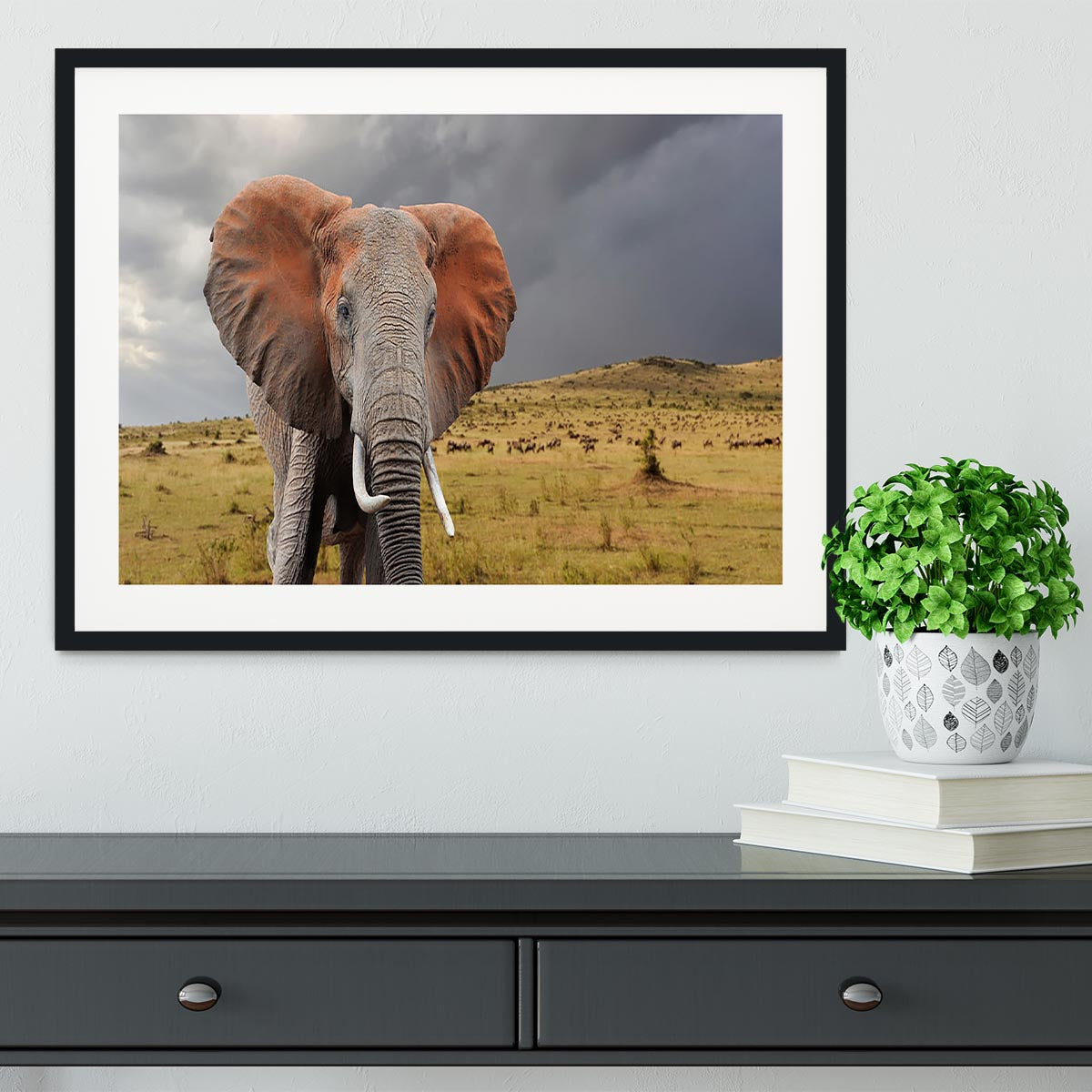 Elephant in National park of Kenya Framed Print - Canvas Art Rocks - 1