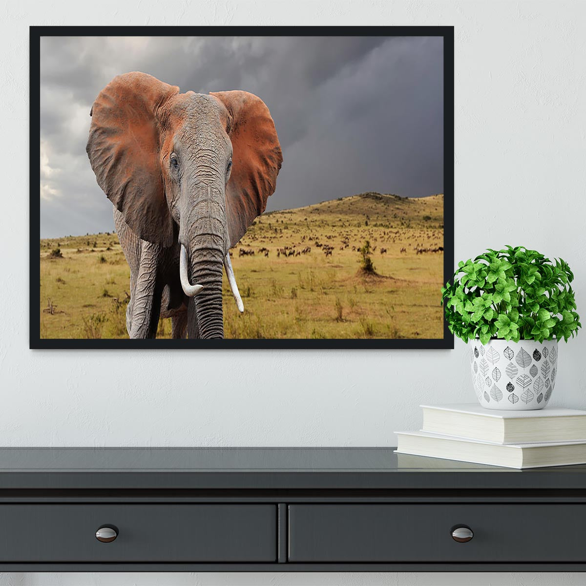Elephant in National park of Kenya Framed Print - Canvas Art Rocks - 2