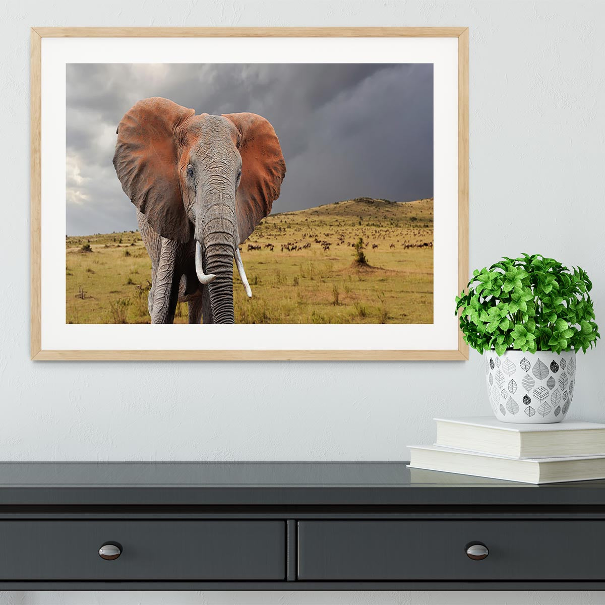 Elephant in National park of Kenya Framed Print - Canvas Art Rocks - 3