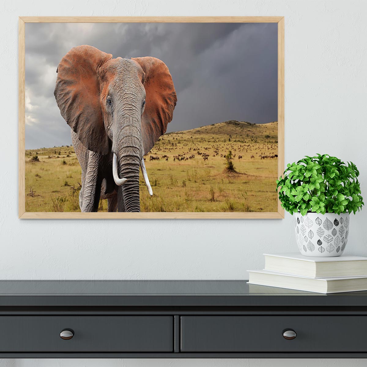 Elephant in National park of Kenya Framed Print - Canvas Art Rocks - 4