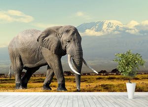 Elephant on Kilimajaro mount Wall Mural Wallpaper - Canvas Art Rocks - 4