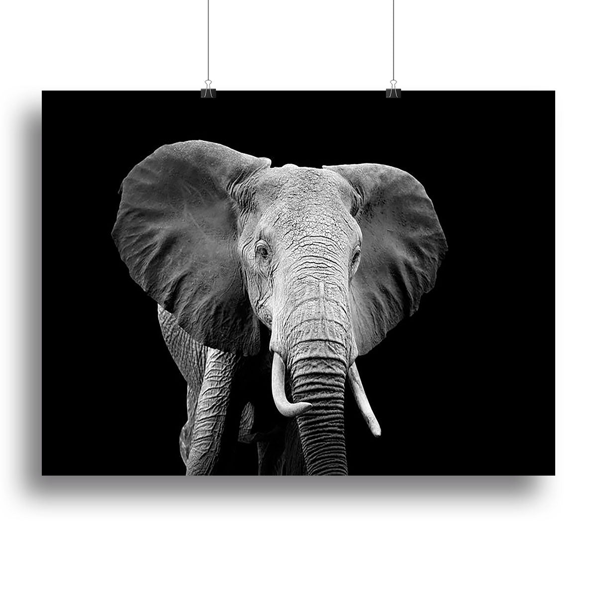 Elephant on dark background. Black and white image Canvas Print or Poster - Canvas Art Rocks - 2