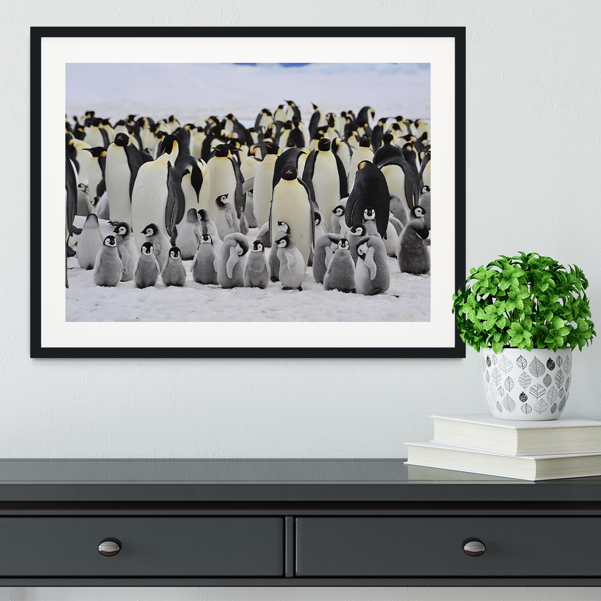 Emperor Penguins with chick Framed Print - Canvas Art Rocks - 1