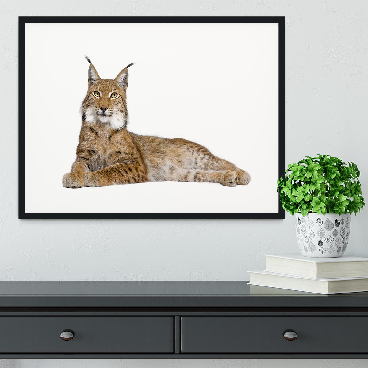 Eurasian Lynx Framed Print - Canvas Art Rocks - 1