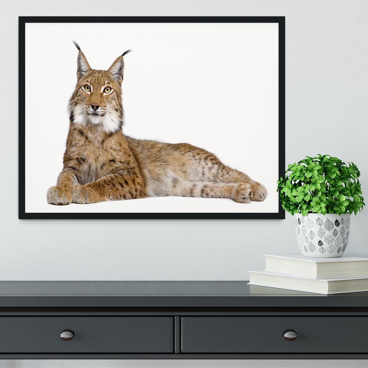 Eurasian Lynx Framed Print - Canvas Art Rocks - 2