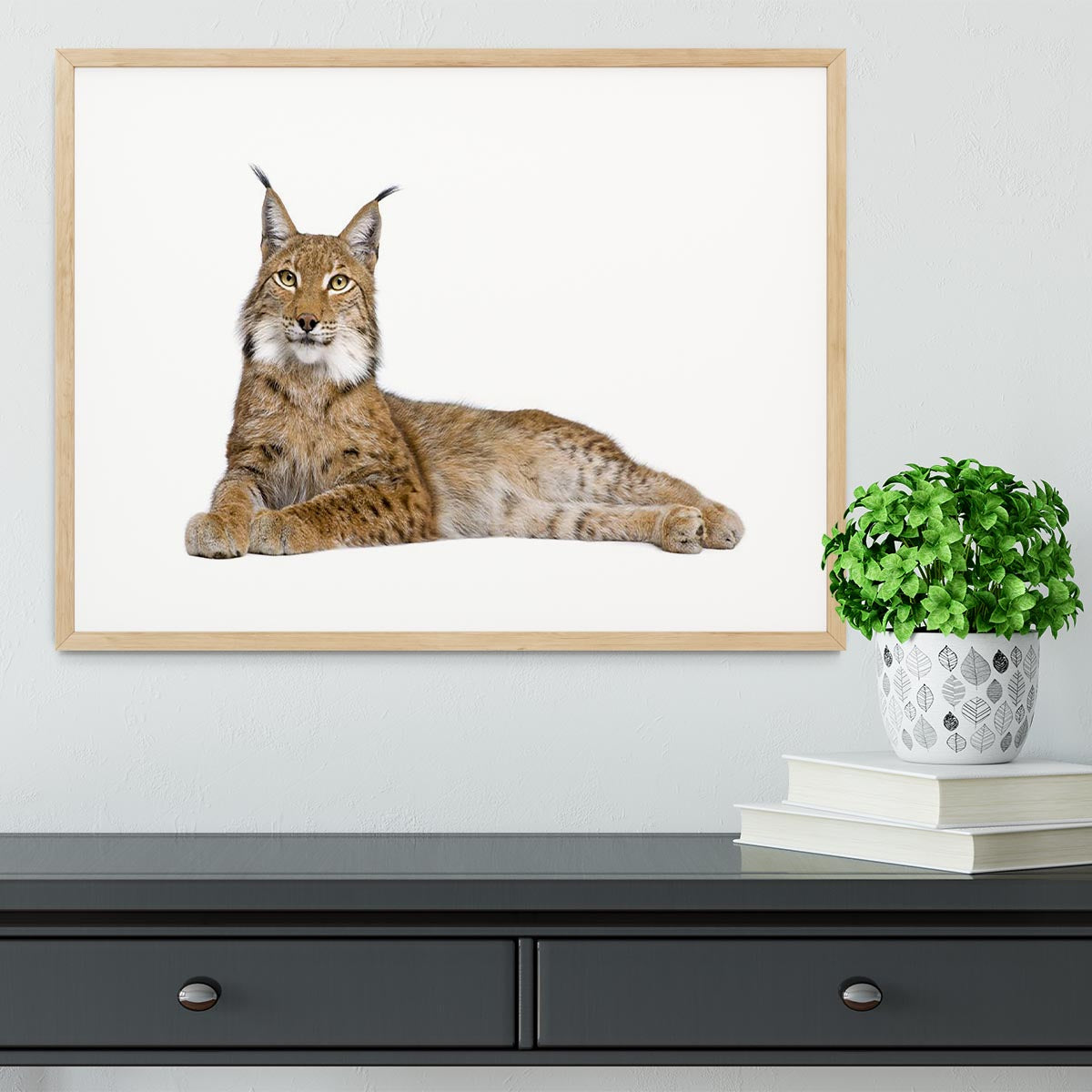 Eurasian Lynx Framed Print - Canvas Art Rocks - 3