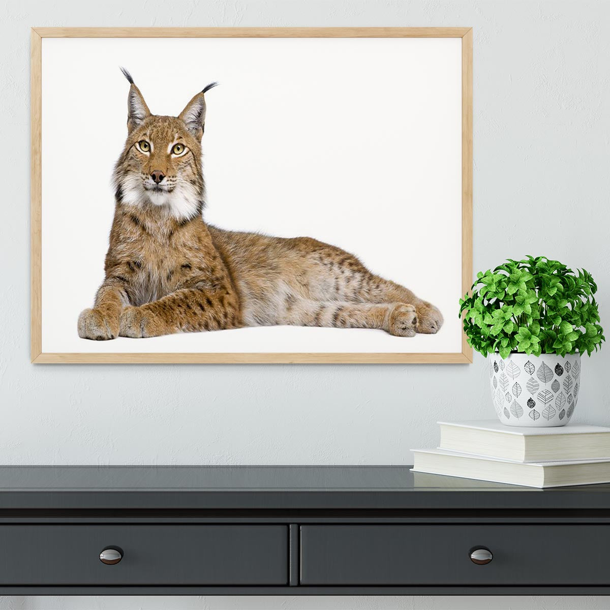 Eurasian Lynx Framed Print - Canvas Art Rocks - 4
