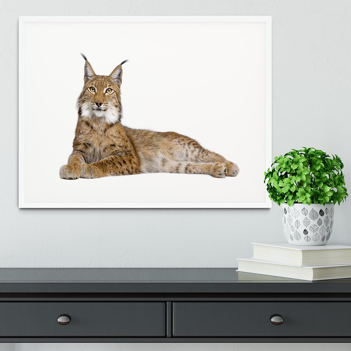 Eurasian Lynx Framed Print - Canvas Art Rocks - 5