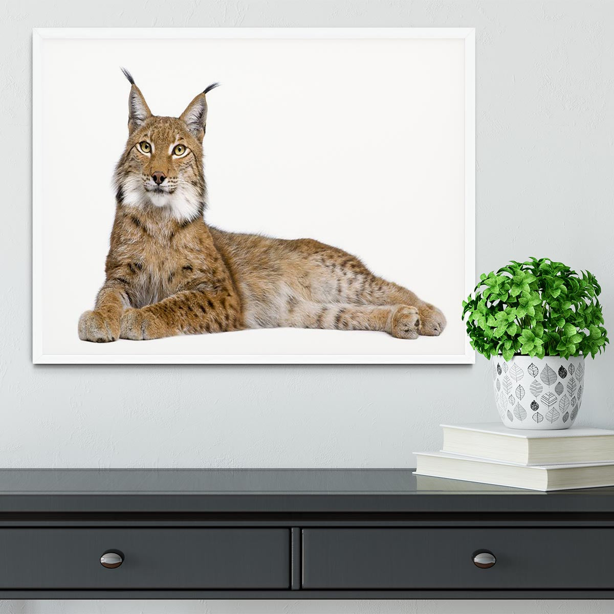 Eurasian Lynx Framed Print - Canvas Art Rocks -6