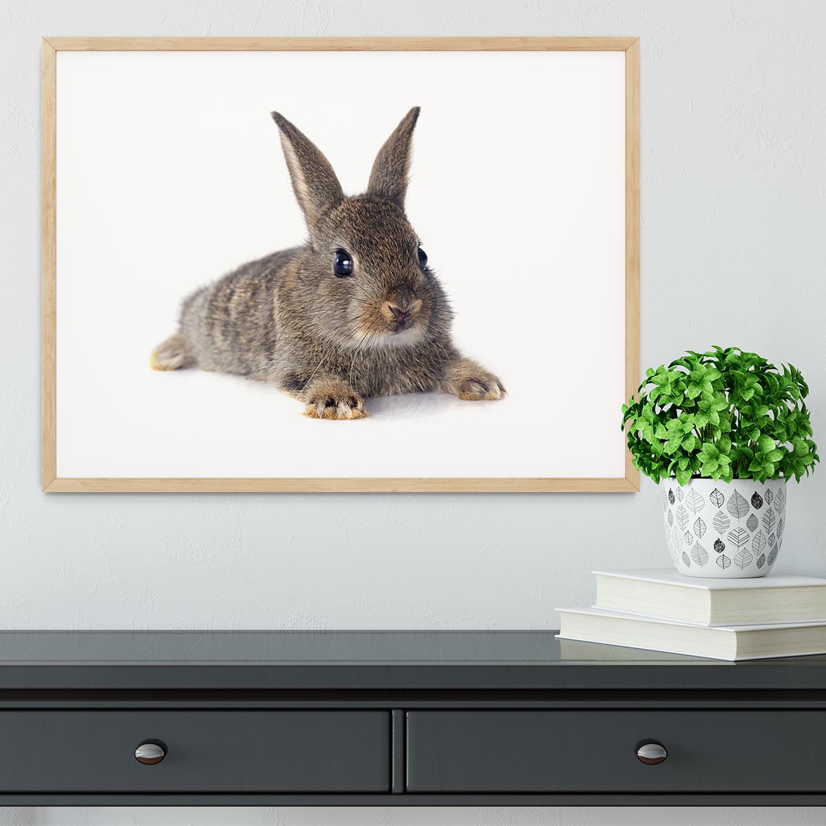 European rabbit in front of white background Framed Print - Canvas Art Rocks - 3