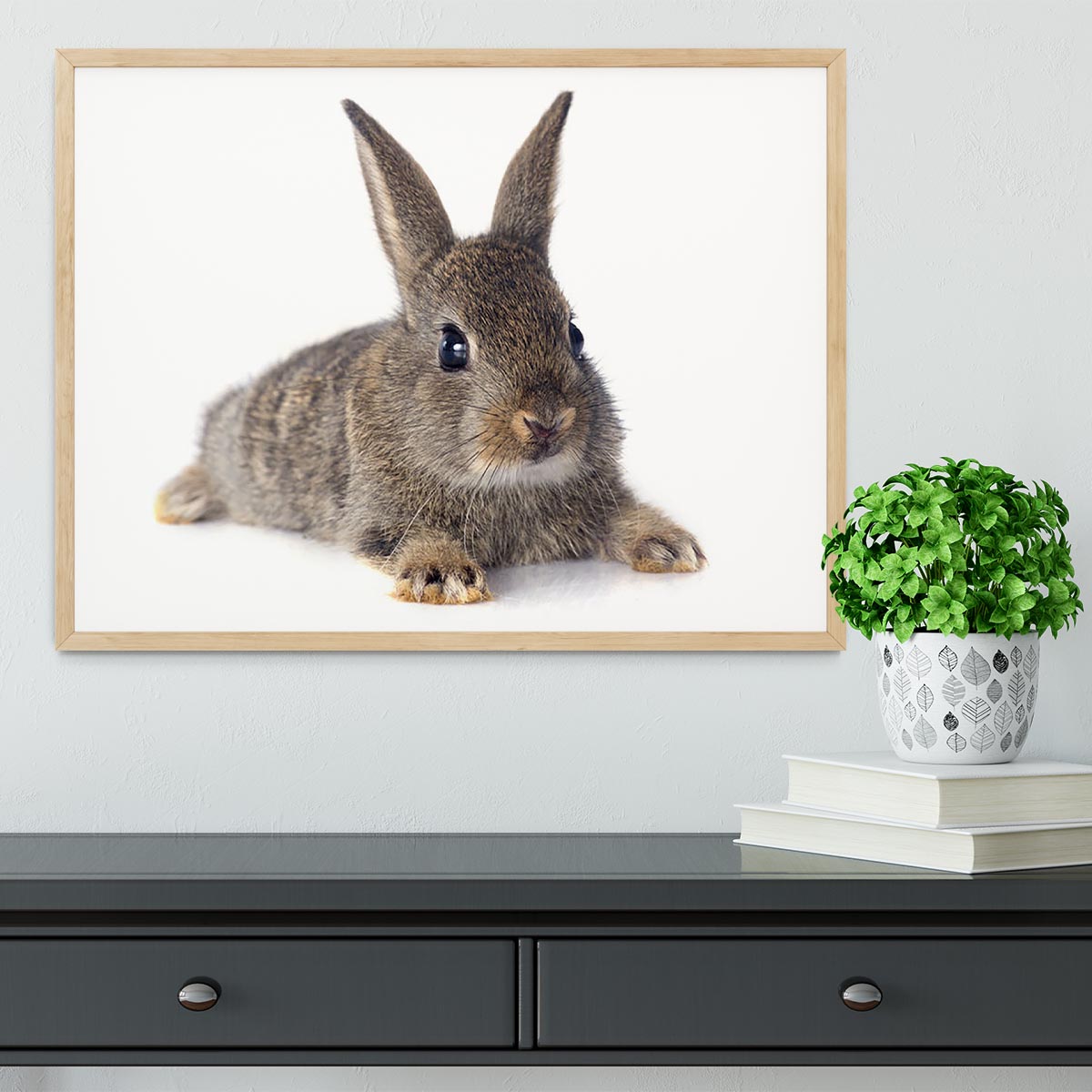 European rabbit in front of white background Framed Print - Canvas Art Rocks - 4