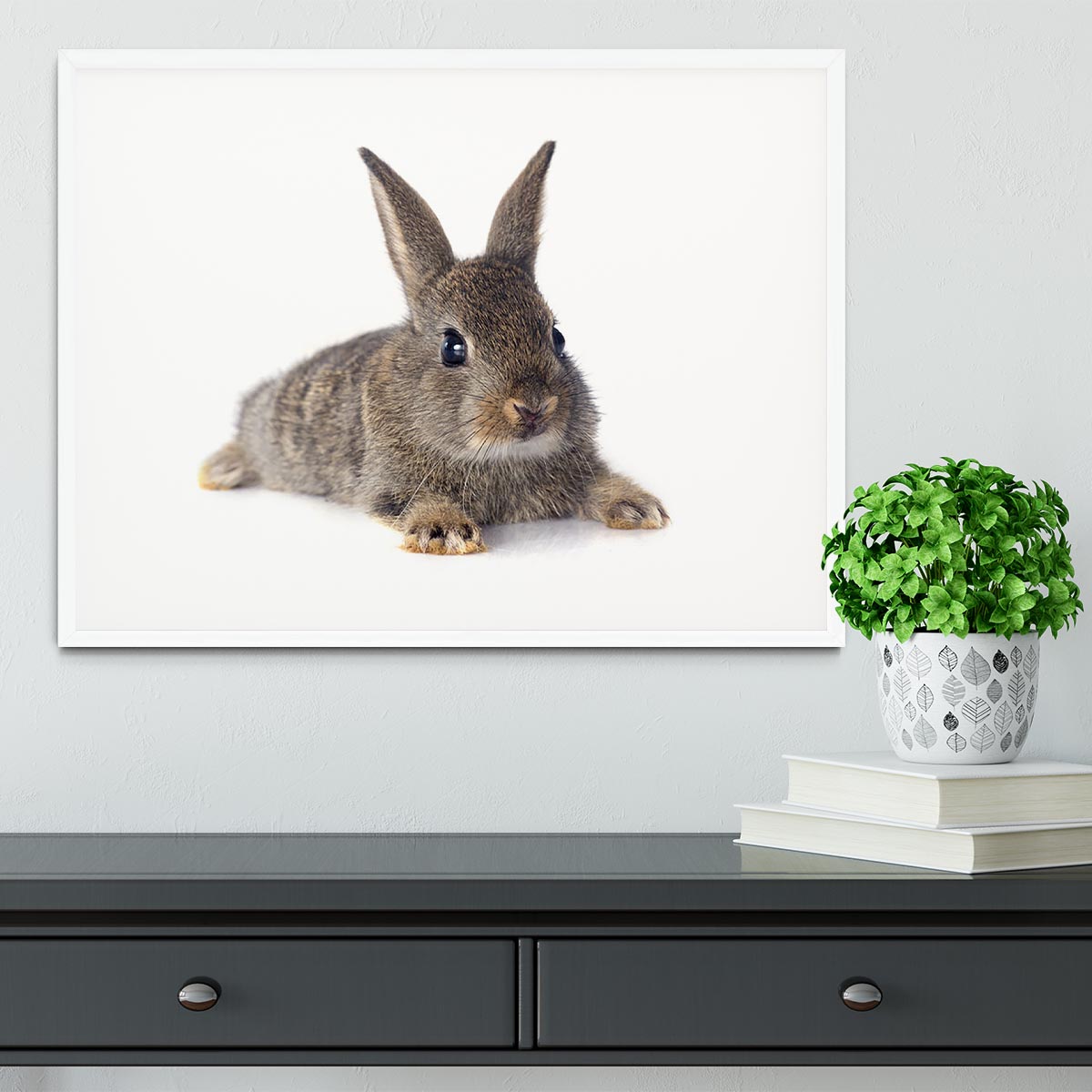European rabbit in front of white background Framed Print - Canvas Art Rocks - 5