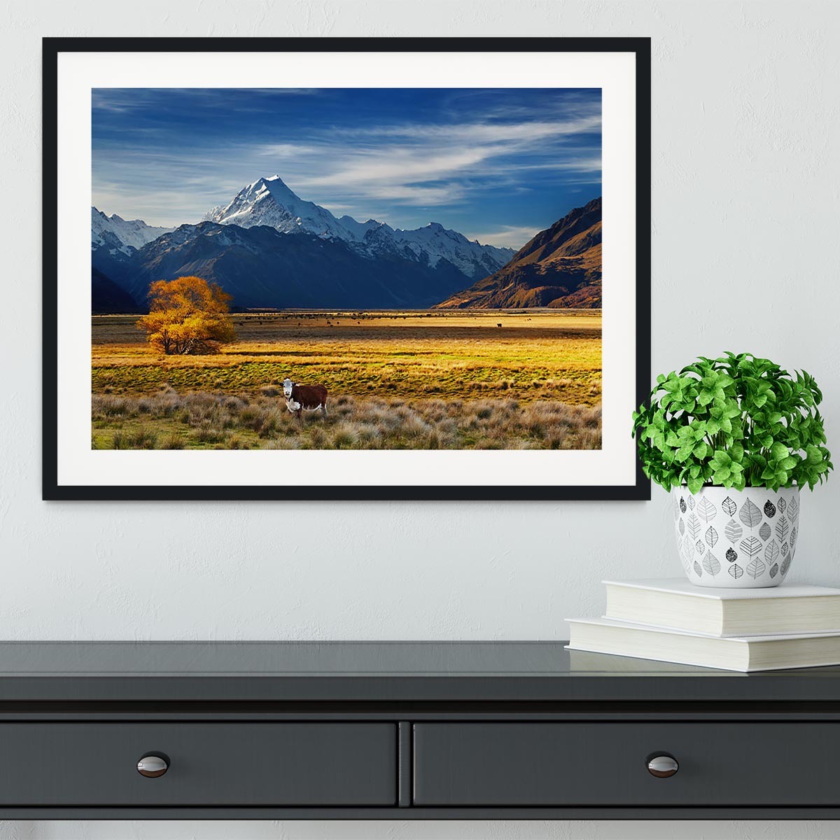 Farmland with grazing cows and Mount Cook Framed Print - Canvas Art Rocks - 1