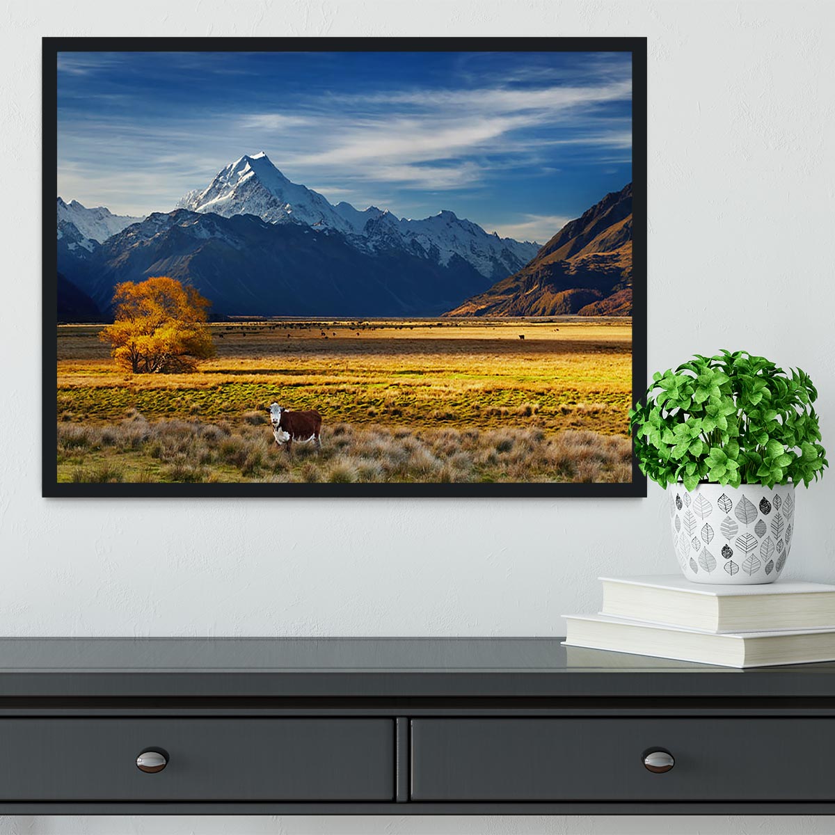 Farmland with grazing cows and Mount Cook Framed Print - Canvas Art Rocks - 2