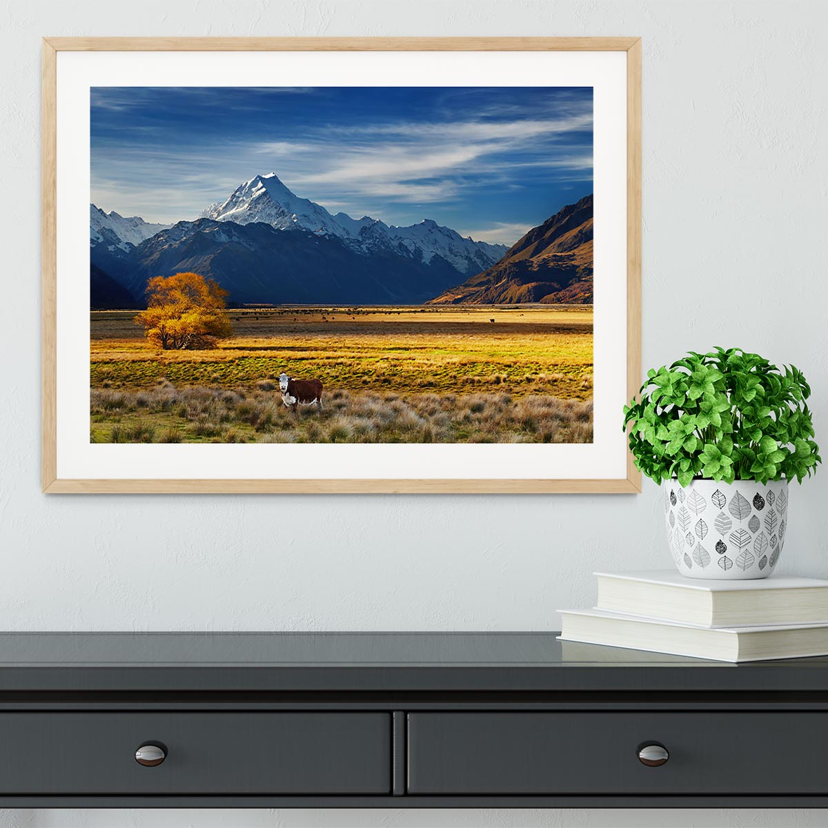 Farmland with grazing cows and Mount Cook Framed Print - Canvas Art Rocks - 3